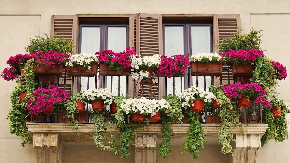 Preventivi per infissi